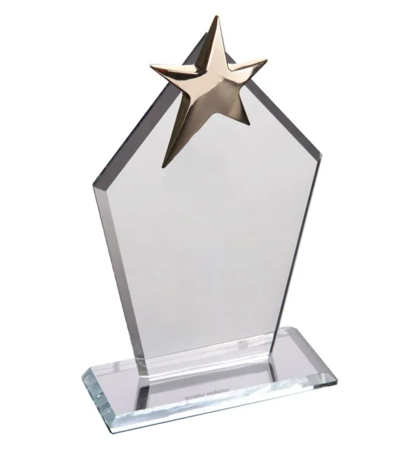Κρυστάλλινo Βραβείο με Αστέρι 11x19,5cm κωδ. EKT- 170 Κρυστάλλινo Βραβείο με Αστέρι 11x19,5cm κωδ. EKT- 170