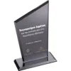Κρυστάλλινo Βραβείο 12x21cm κωδ. EKT-310