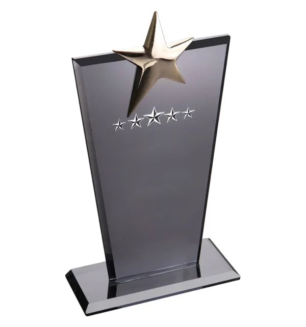 Κρυστάλλινo Βραβείο 12x21cm με Χρυσό Αστέρι κωδ. EKT-128