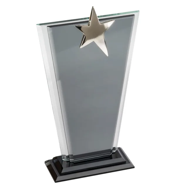 Κρυστάλλινο Βραβείο 13x23cm με Ασημί Αστέρι κωδ. EKT-210