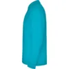 Roly Μακρυμάνικο Polo Μπλουζάκι Ανδρικό Estrella L/S κωδ. 6635 Roly Μακρυμάνικο Polo Μπλουζάκι Ανδρικό Estrella L/S κωδ. 6635