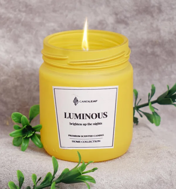 Σετ Δώρου για την Πρωτοχρονιά με Δεντράκι, Φουλάρι, Αρωματικά Ξυλάκια και Κερί κωδ. 97778 Σετ Δώρου για την Πρωτοχρονιά με Δεντράκι, Φουλάρι, Αρωματικά Ξυλάκια και Κερί κωδ. 97778